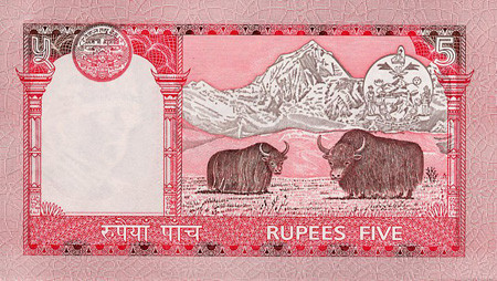 ネパールルピーNepalese Rupee NPR